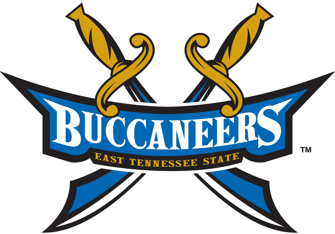 ETSU Buccaneers 2002-2013 Alternate Logo diy fabric transfer